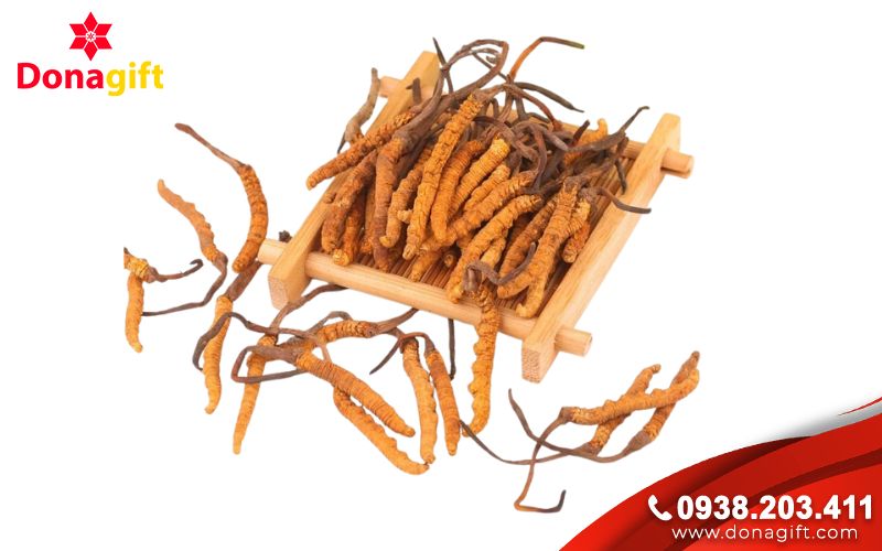 Đông trùng hạ thảo Đông trùng hạ thảo