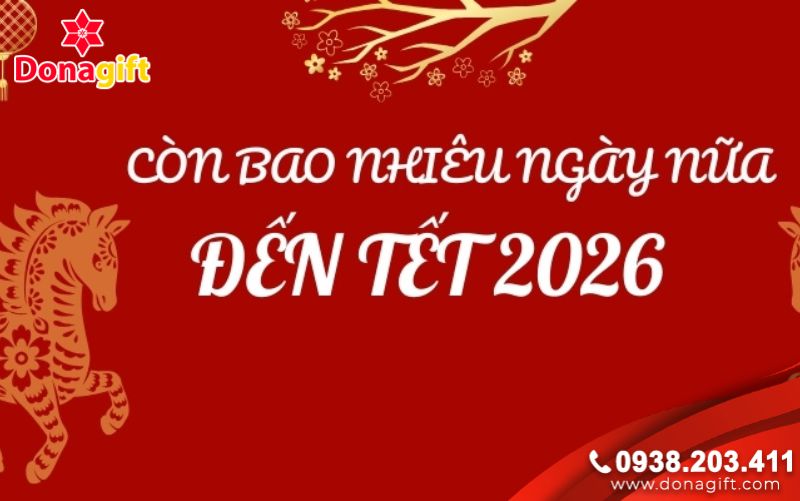 Còn Bao Nhiêu Ngày Nữa Là Đến Tết Dương Lịch 2026? Còn Bao Nhiêu Ngày Nữa Là Đến Tết Dương Lịch 2026?