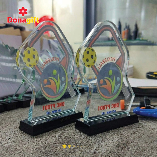 Hình ảnh cúp vô địch Pickleball DNC PT001 bằng kim loại sáng bóng sang trọng