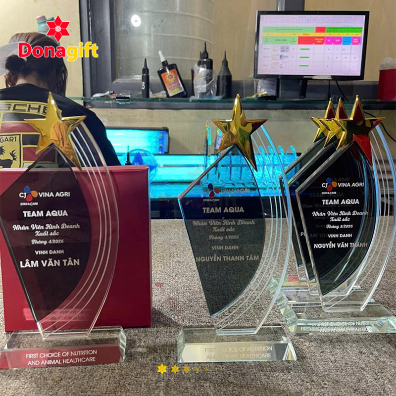 Cúp Pha Lê Ngôi Sao Thành Tích