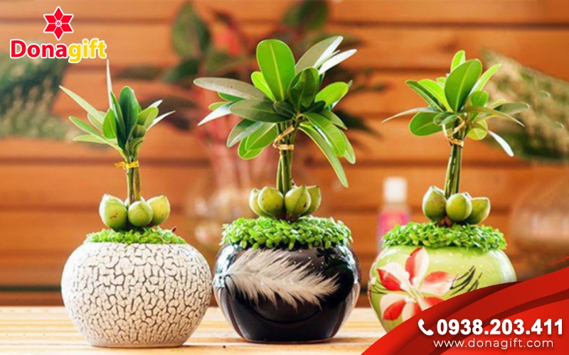 Các món quà ngày Nhà giáo Việt Nam như sổ tay, bút ký, bình giữ nhiệt và hoa tri ân được nhiều người lựa chọn.