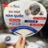 Mẫu quạt nhựa cầm tay quảng bá thương hiệu Du Học Hàn Quốc K-GEUL